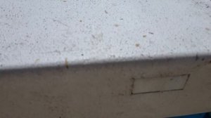 Как быстро нарастить силу слабой пчелосемьи весной