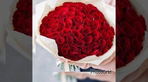 Душевные  песни  Сергей Одинцов.