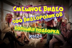 Смешное видео / 500 видеороликов / Большая подборка