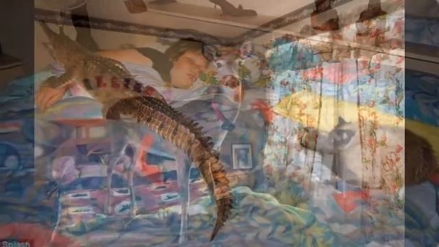 Экзотические домашние животные смотреть онлайн