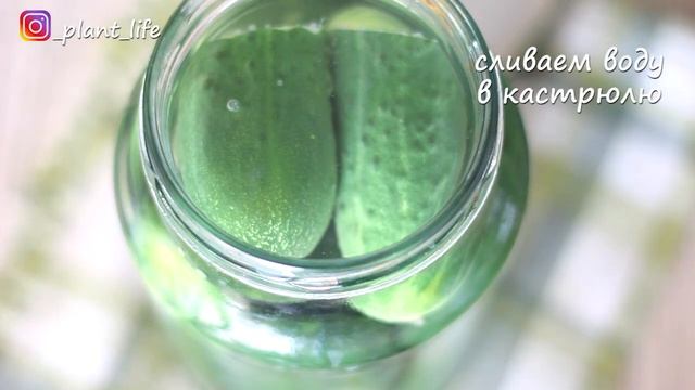 СОЛЕНЫЕ ОГУРЦЫ | список ингредиентов под видео ? смотреть онлайн