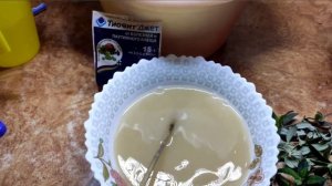 Буддлея Давида, зимнее размножение зелёными черенками.???#размножение#черенкование