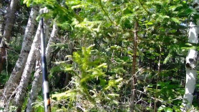 рыбалка на таежной речушке/ХАРИУС/  Заключительная часть июньской рыбалки на Хариуса (ч.3) смотреть онлайн