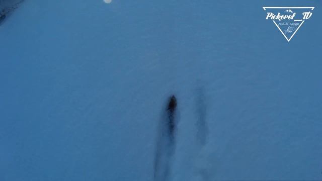 Прогулка по зимнему лесу и реке Юс / Зимний лес / Кез / 2017 год смотреть онлайн