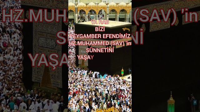 MÜMİN İKİ DEFA AYNI YANILGIYA DÜŞMEZ...(Buhari, Edeb 83; Müslim, Zühd 63.) #gününhadisi #alwaysİSLA