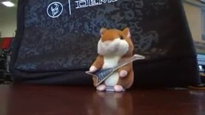 Говорящий хомяк поет рок