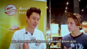 интервью с представителем AntsMinsk- муравьиные фермы