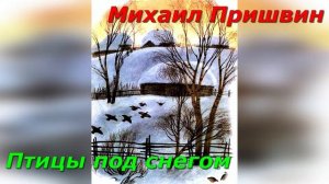 Птицы под снегом. М. Пришвин.