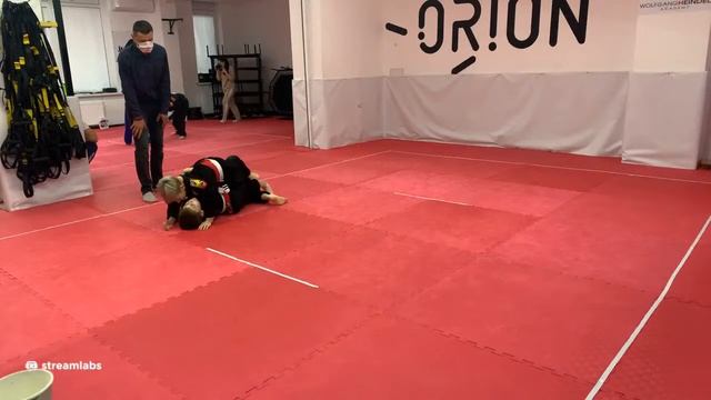 Tatami 2 смотреть онлайн