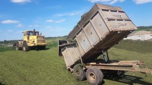 Первый день заготовки силоса 1
