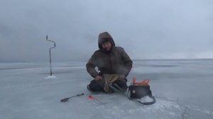 Советы новичкам 2 прикормка на зимней рыбалке для леща.