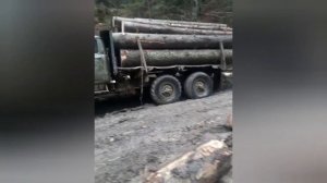 Подборка Зил 131 лесовоз