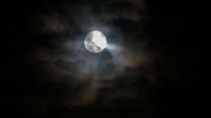 Ночные страхи. Страшное видео со звуками ночи.