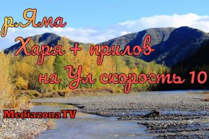 Русская Рыбалка 4 Где Клюет р.Яма  Харя + прилов на Ул 13.02.23