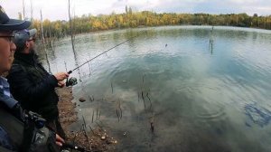 РЫБАЛКА В КОРЯЖНИКЕ и МОРЖЕВАНИЕ в затопленном лесу | Щука на джерк и окунь на воблер