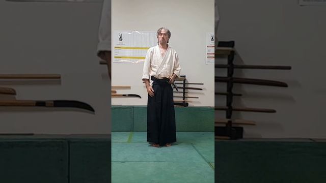 Ukenagashi & Aiki (9)  #martialarts #kenjutsu #aikido #katana #iaido #karate