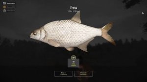 Лещ ,плотва  оз.Куори Русская Рыбалка 4