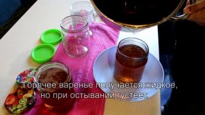 Сосновые побеги. Делаем необычное варенье.