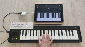 Как сыграть Царица Anna Asti Анна Асти Разбор песни на пианино 🎹 #каксыгратьнапианино
