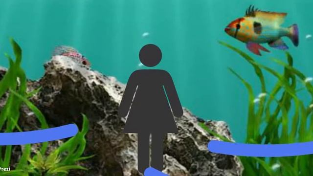 презентация интерактивной игры "Веселый аквариум смотреть онлайн