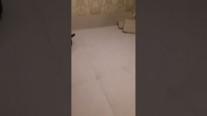 Отзыв о диване Муссон от Андерссен