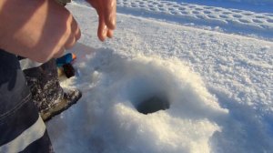 Ловля корюшки в бухте Мелководная, зимняя рыбалка, Магадан