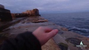 Средиземноморская ставрида в Черном море. Ставрида на самодур. Ставрида когда ловить. Ставрида.