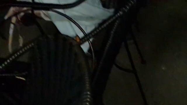 Тайские тараканы смотреть онлайн