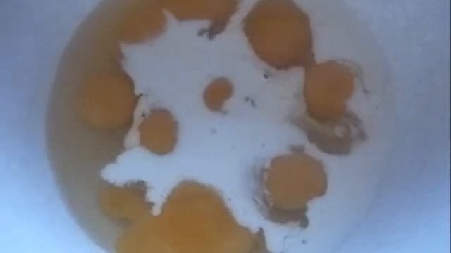 Омлет с тунцом в духовке. Рыбный омлет. смотреть онлайн