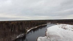Незабываемая ОХОТА НА ГЛУХАРЯ осенью с подхода