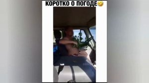 Смешные ролики №45