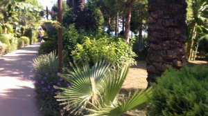 Обзор отеля Сatamaran resort hotel 5 * (Кemer, Beldibi 2)