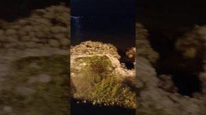развалины древней крепости на набережной махаджиров Сухум Абхазия / развалины крепости древние