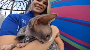 Дени и Мэни на ВК Фесте⭐️Прошлись по ковровой дорожке?Посетили фестиваль любителей домашних питомце