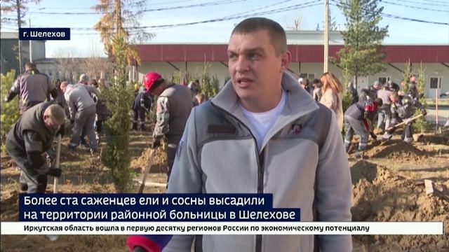 Саженцы ели и сосны высадили на территории районной больницы в Шелехове