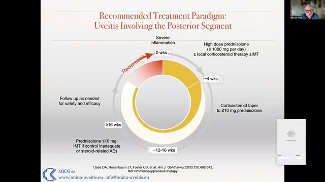 Uveitis Webinar - 28 (Uveitis Macular Edema) смотреть онлайн