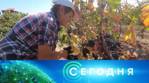 «Сегодня»: 7 октября 2023 года. 08:00 | Выпуск новостей | Новости НТВ