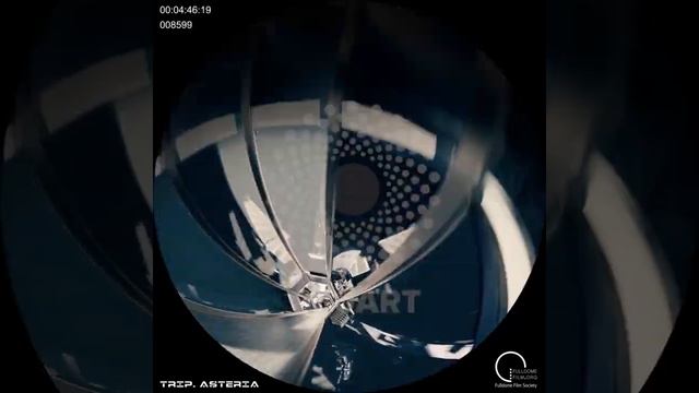 Trip. Asteria [PREVIEW] смотреть онлайн