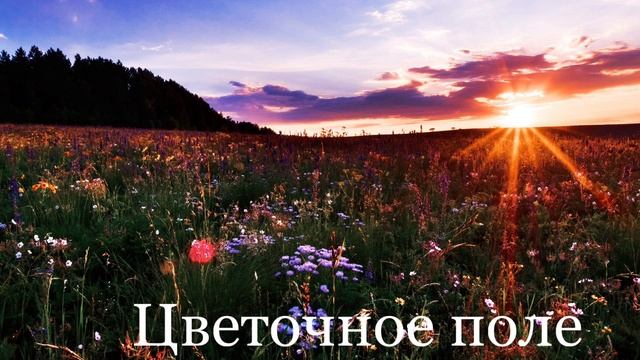 Лето: солнце, море и безмятежность смотреть онлайн