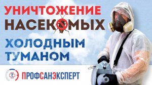 Уничтожение насекомых холодным туманом в общежитии и бытовке