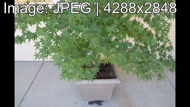 A Light Blue Digital Camera - Kodak EasyShare M552 смотреть онлайн