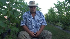 Питомник Солнечный УЛЬЯНОВСК