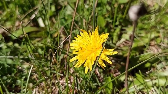 16 апреля ЧИСТЫЙ ЧЕТВЕРГ ЧТО НУЖНО И ЧТО НЕЛЬЗЯ ДЕЛАТЬ. НАРОДНЫЕ ТРАДИЦИИ. смотреть онлайн