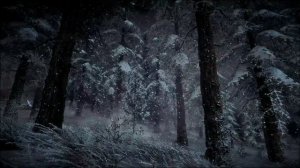 Снежная буря ночью в еловом зимнем лесу со звуками падающего снега ASMR для крепкого сна