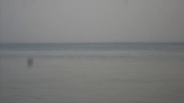 ☆彡Встретили ДЕЛЬФИНОВ на море Met DOLPHINS at sea