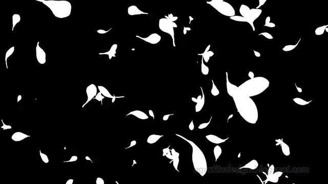 Seamless Loop Falling Flowers Of Frangipani Plumeria Alba In The Wind With Alpha Channel смотреть онлайн