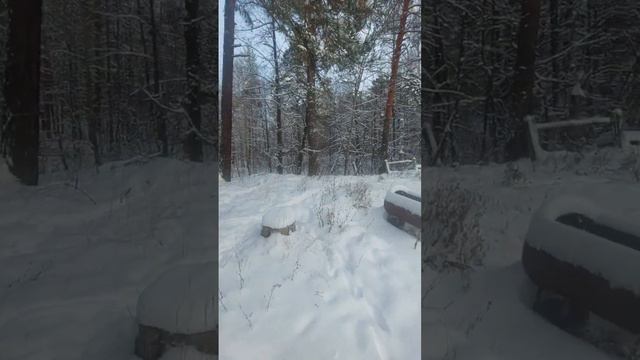 Сегодня мой праздник всемирный день волонтера смотреть онлайн