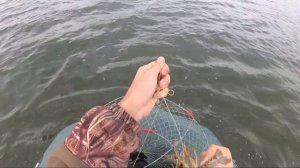 Ловля Раков на раколовки в Ноябре по холодной воде