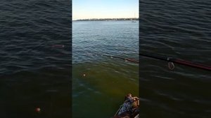 рыбалка в Таганроге 19.06.2022года