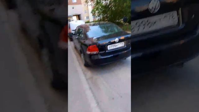 Мусорные баки Савушкина
